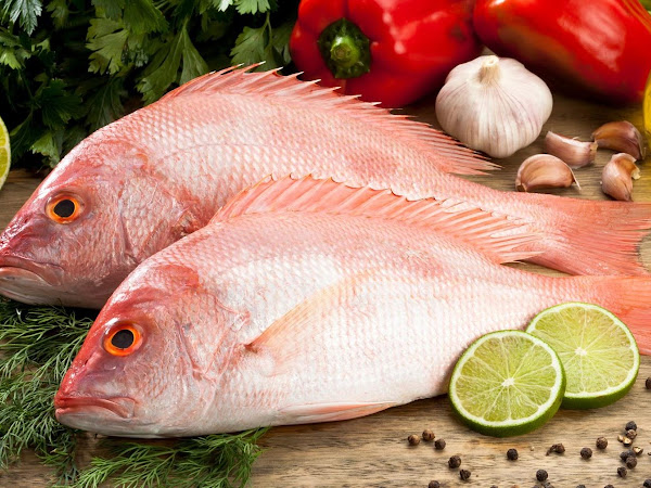 Variasi Resep Ikan Kakap Fillet yang Bergizi dan Mudah Dibuat