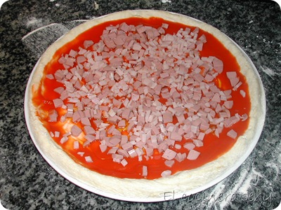 DSCN3098