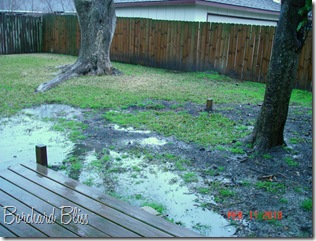 Backyard with water 2