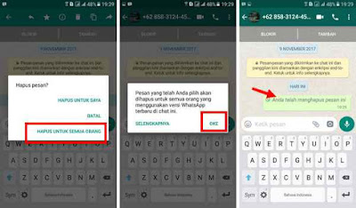 Menarik Pesan Terkirim di WhatsApp Gagal