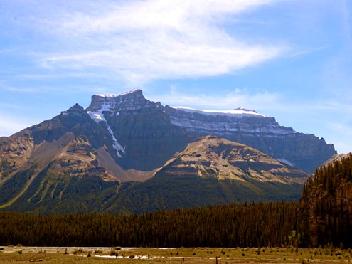 DSC07231b