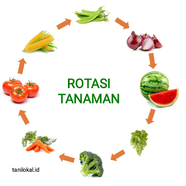 Crop rotation