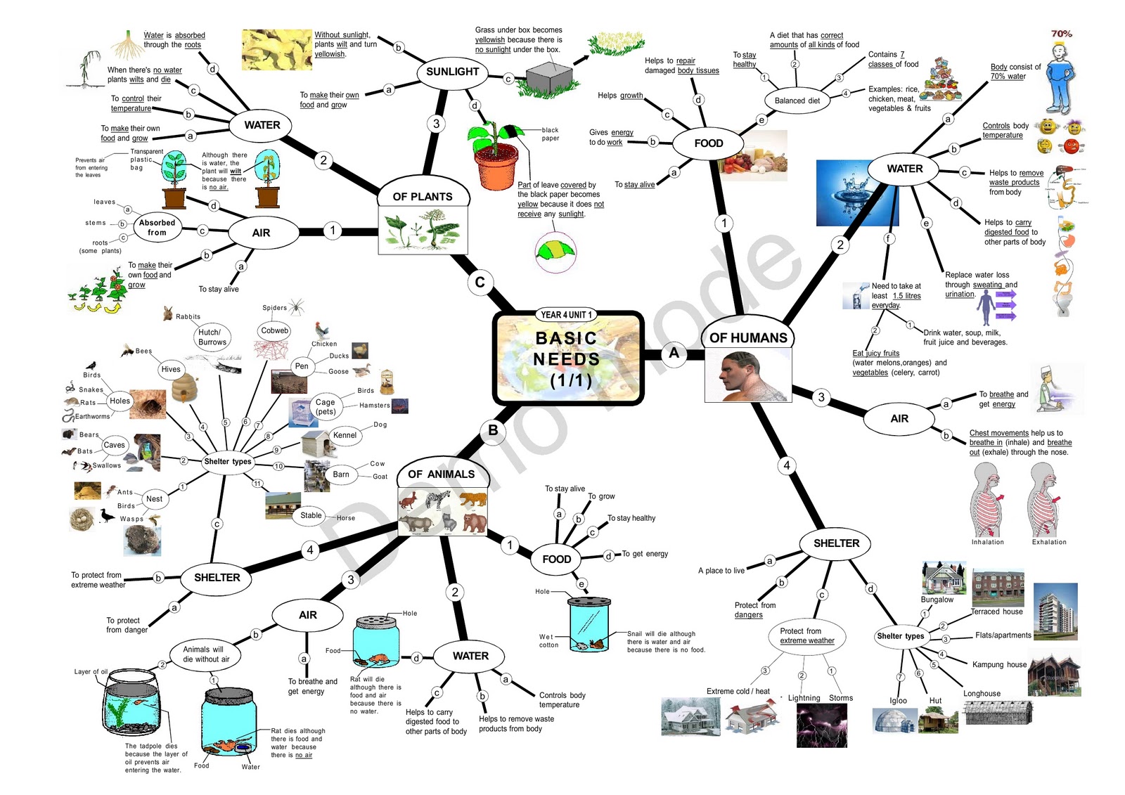 Welcomes To Pei Inn's Blog: Mind Map-Basic Needs