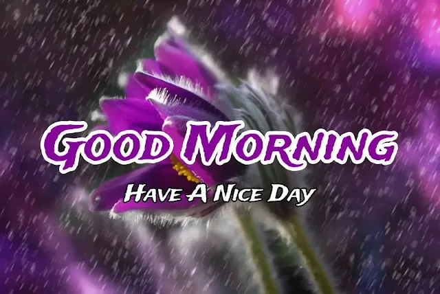 Good Morning Rainy Day Pic Image Download Free