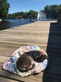 Kely Bray on the day before she crossed the Rainbow Bridge