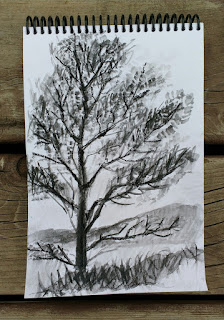 three trees charcoal on paper