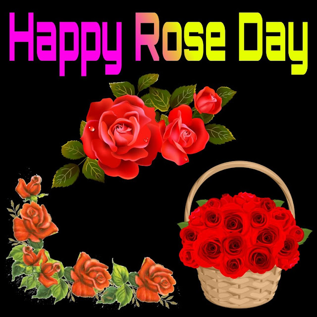 Happy Rose Day Images For Whatsapp