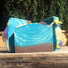 Local Yocal Ingredients - Special Soaps Using Special Ingredients