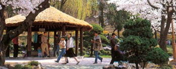 Daegu Hwawon Amusement Park