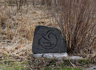 Stone marker for the Toronto Flyway Project that plants native trees and shrubs to attract breeding or migrating birds in the Don Watershed area
