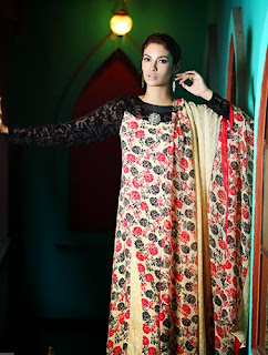 Warda Winter Collection 2013