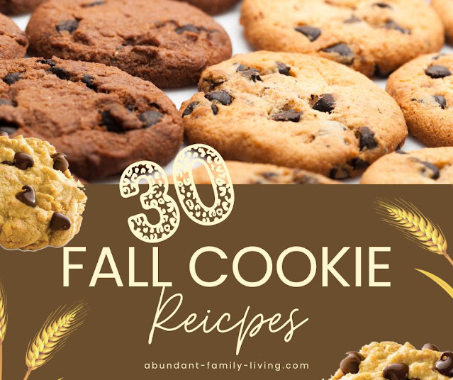 Fall Cookie Recipes