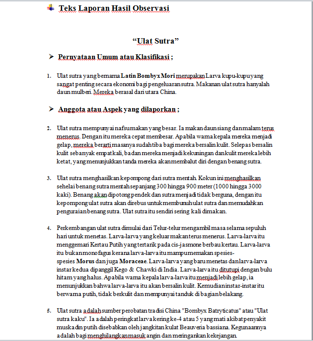 Format laporan observasi pdf menyunting dan struktur teks 