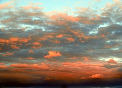 DSC09516b
