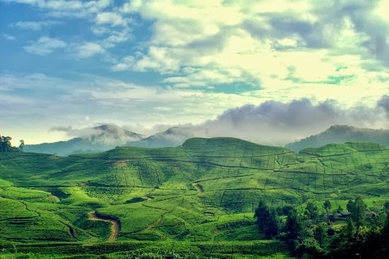  Tempat Wisata Di Puncak Bogor Jawa Barat