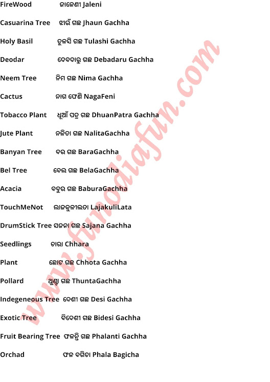 All tree name in Odia and english odia and english of tree name