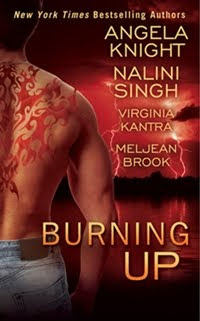 Burning Up Anthology