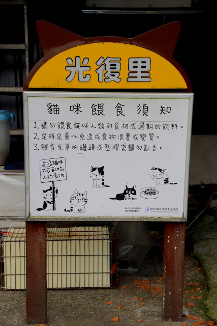 新北景點 猴硐貓村