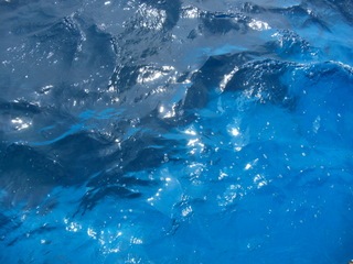 CIMG0469