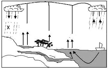 Contoh Soal Geografi Unbk Level C1 C2 Dan C3 Guru Geografi