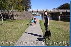 IMG_9987