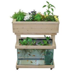 Aquaponics Home System