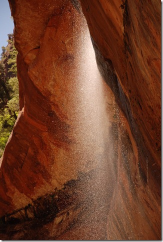 05-03-13 B Trail Emerald Pools Kayenta 075