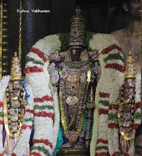 Vaikunta, Ekadesi,Paramapatha Vasal,Dharisanam, Sri PArthasarathy Perumal, Perumal, Venkata Krishna , Varushotsavam, 2018, Video, Divya Prabhandam,Triplicane,Thiruvallikeni,Utsavam,