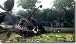 monster-hunter-3-6