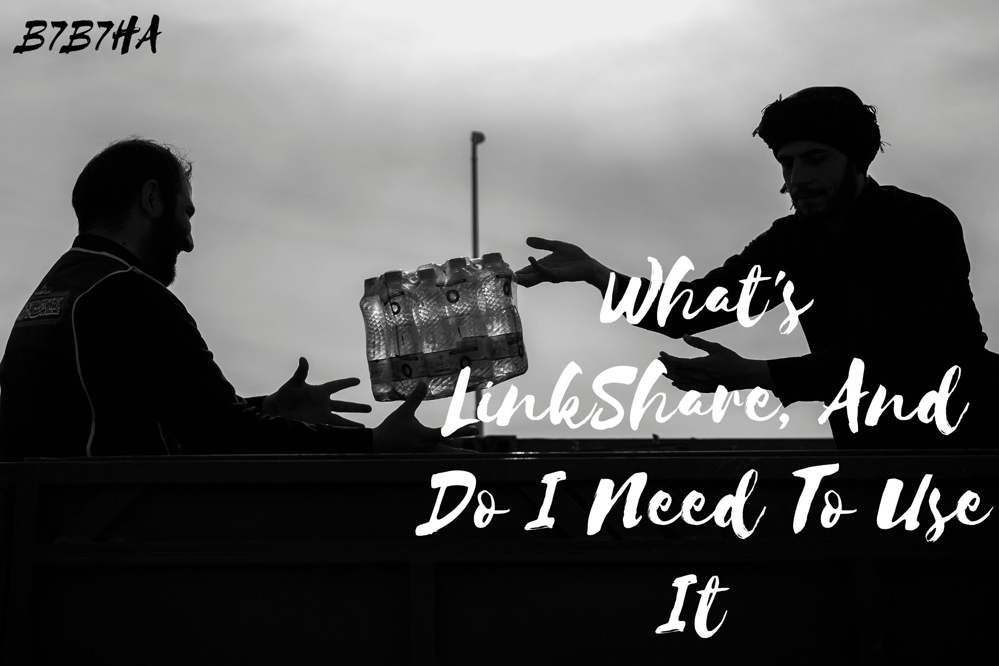 What's LinkShare, And Do I Need To Use It  ?????