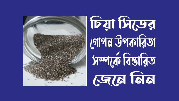 চিয়া সিড এর উপকারিতা ও অপকারিতা