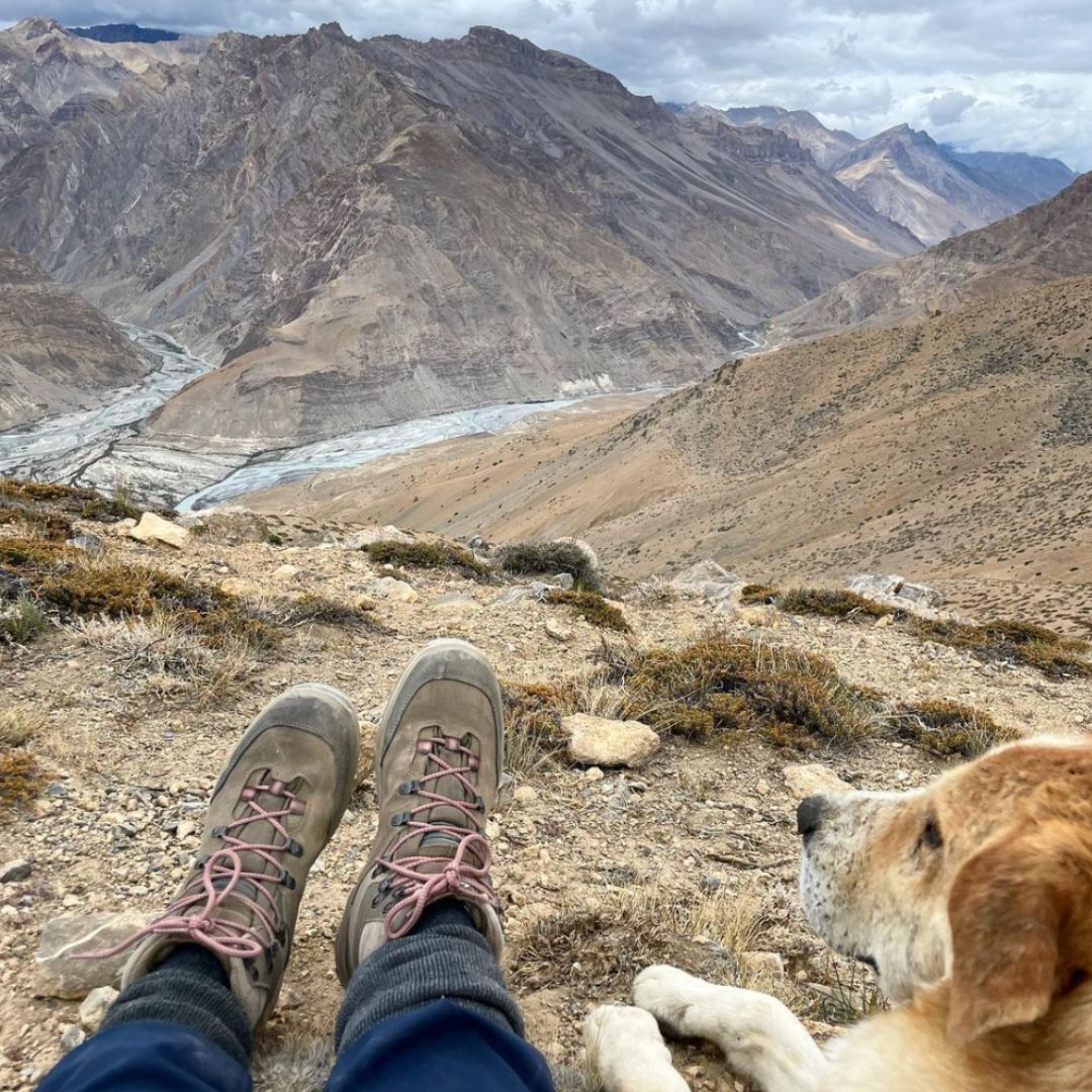 a view of Maya Mohanlal's feet with a dog besides her looking out over the mountains of the himalayas in india