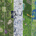 Cartografía y Fortnite