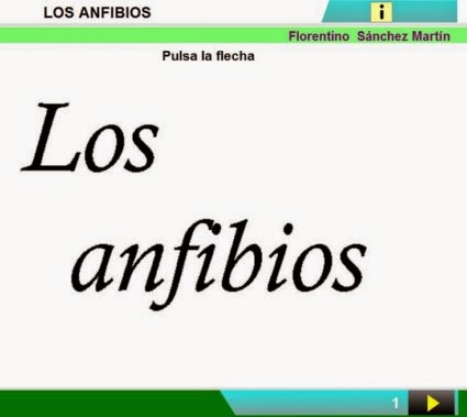 http://cplosangeles.juntaextremadura.net/web/edilim/curso_2/cmedio/animales02/anfibios02/anfibios02.html