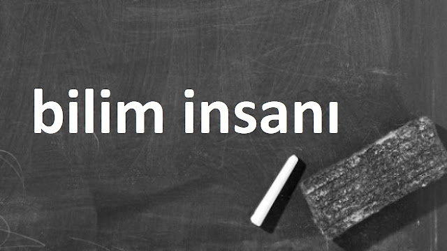 bilim insanı