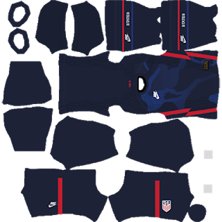 USA DLS Kit 2021