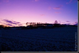 frigga_20120201_house1