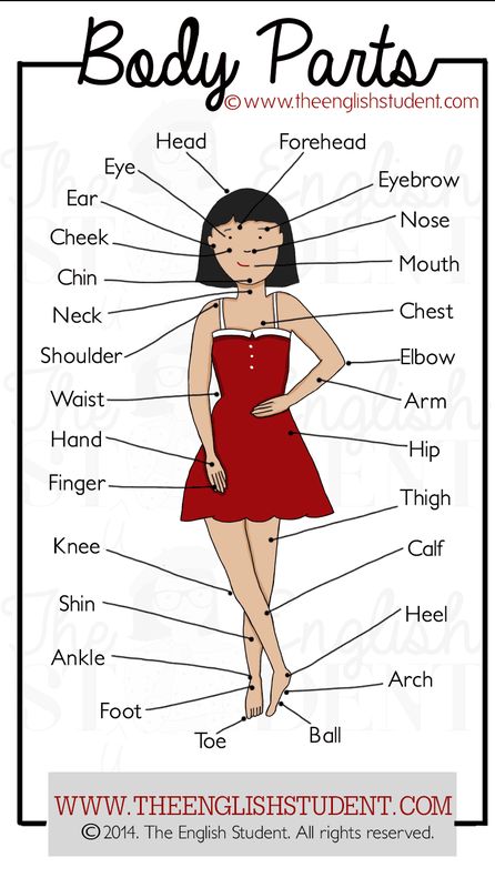 Valanglia: BODY PARTS