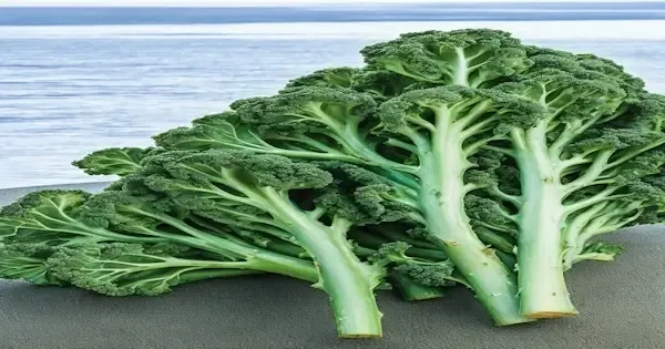 Discover the incredible health benefits of incorporating sea kale into your diet. Learn about its nutritional value, cooking methods, and how it can contribute to your overall well-being.
