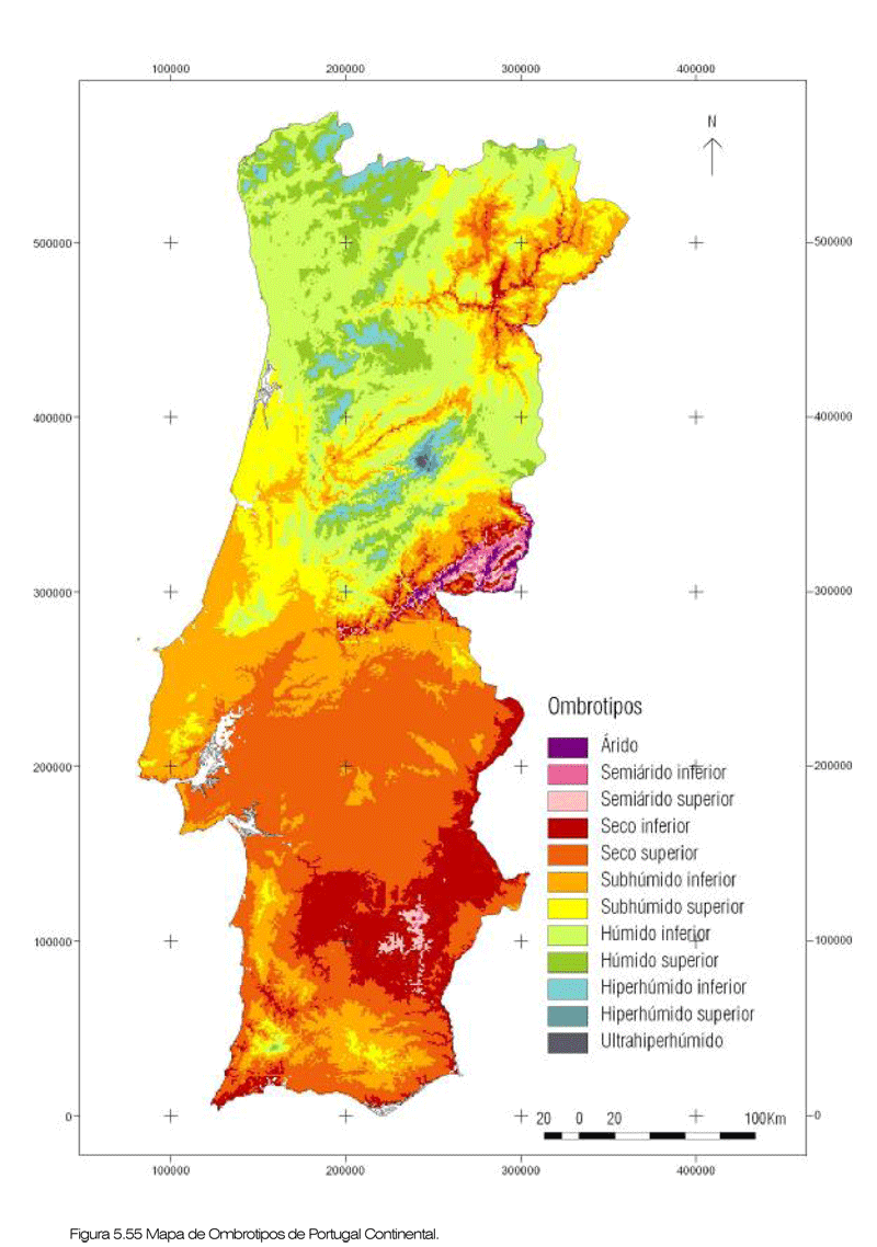 Krzysztof Gierak Blog Website Portugalia Pogoda W Lipcu Temperatury Opady Wilgotnosc Prognoza Online Temperatury Wody Faro Lizbona Porto