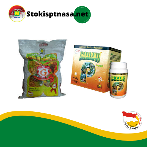 https://stockistpupuksupernasa.blogspot.com/2019/02/paket-pupuk-nasa-pada-sawit-lahan-1.html