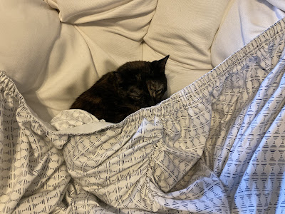 A black and brown cat (Folio) is on a round seat, under the edge of a fitted sheet which has fallen down.