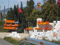 IMG_9178 IMG_9178