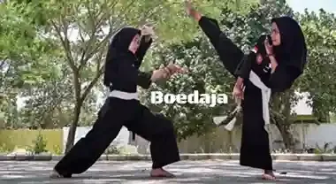 Pencak Silat (2019)