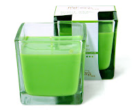 MiKeRa Tropical Delights Apple Martini Scented Natural Soy Candle in Square Glas