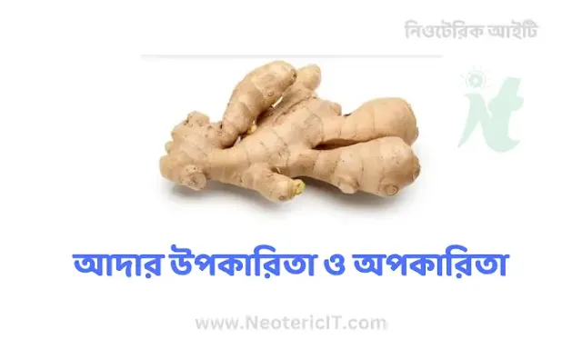 Benefits and harms of ginger - Benefits of eating ginger in the morning - ada khawar upokarita - NeotericIT.com