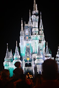 The Disney castle looked beautiful in it's icicle lights too. (img )