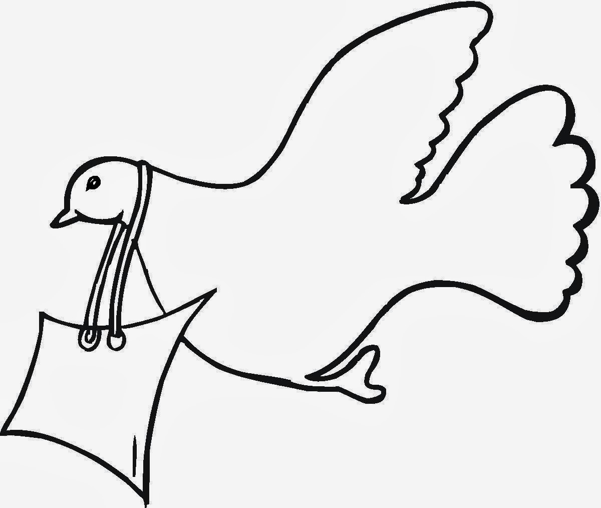 Pigeon Coloring Drawing Free wallpaper