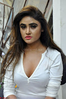 Sony Charishta in White Top and Denim jeans ~  Exclusive Galleries 012.jpg