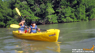 Kayak Guadeloupe